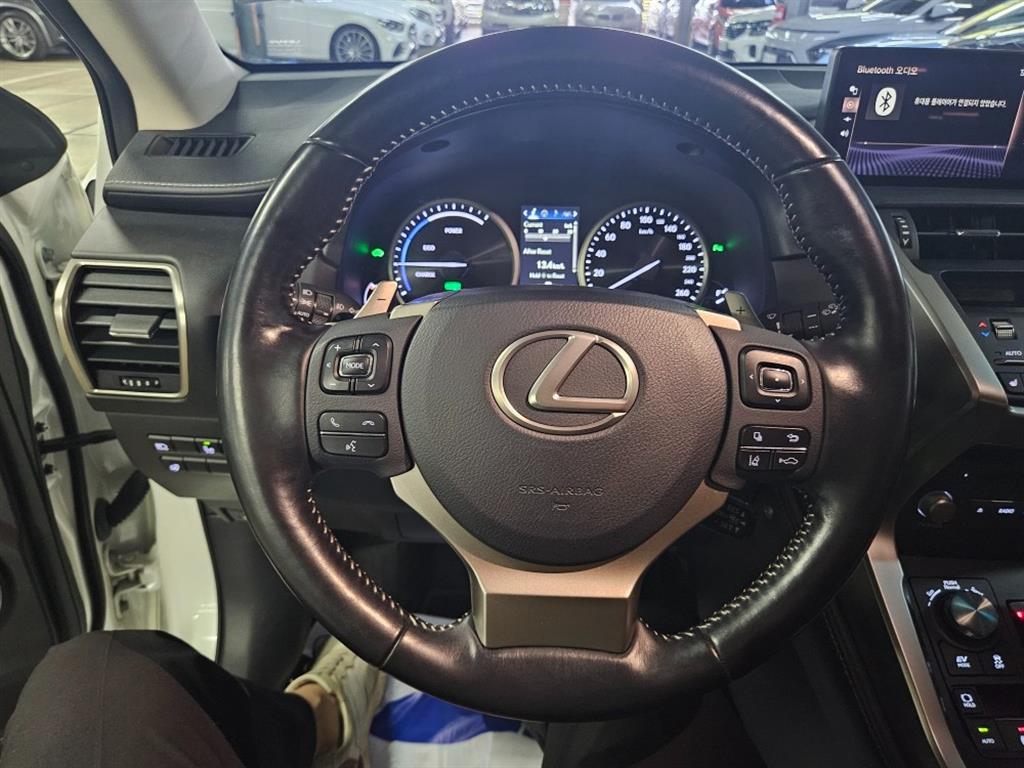 Lexus NX - Vista 6