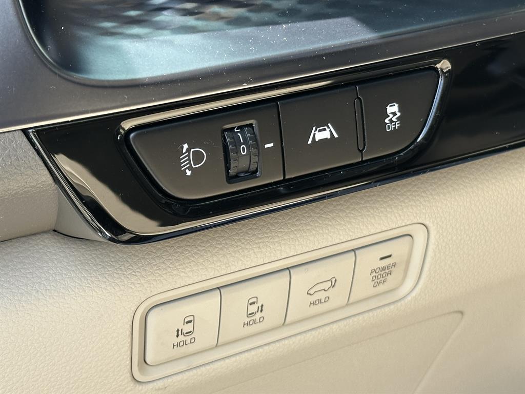 KIA Carnival - Vista 11