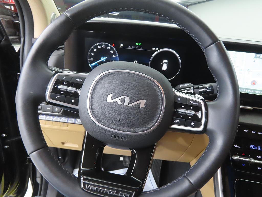 KIA Carnival - Vista 8