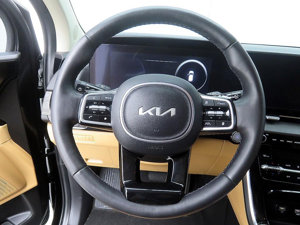 KIA Carnival - Vista 10