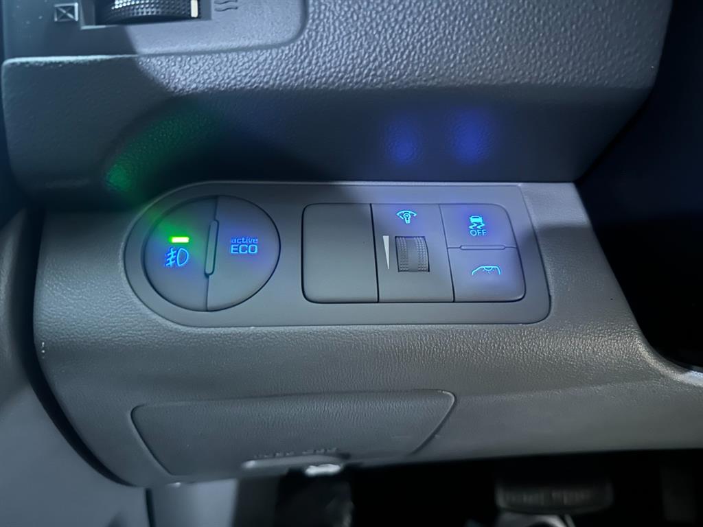HYUNDAI Starex - Vista 10