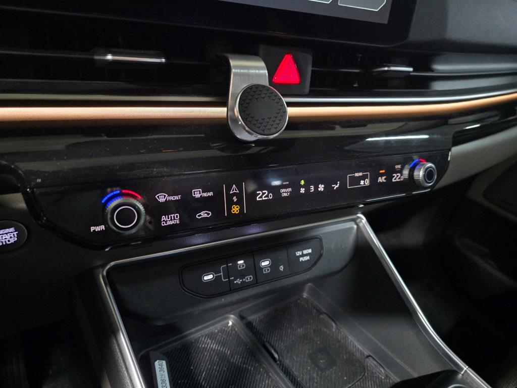 KIA Carnival - Vista 12