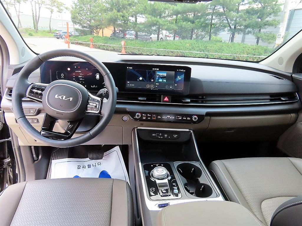 KIA Carnival - Vista 8