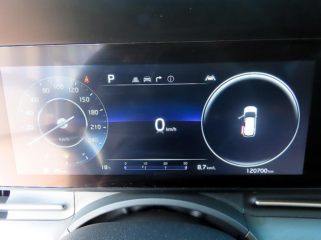 KIA Carnival - Vista 10