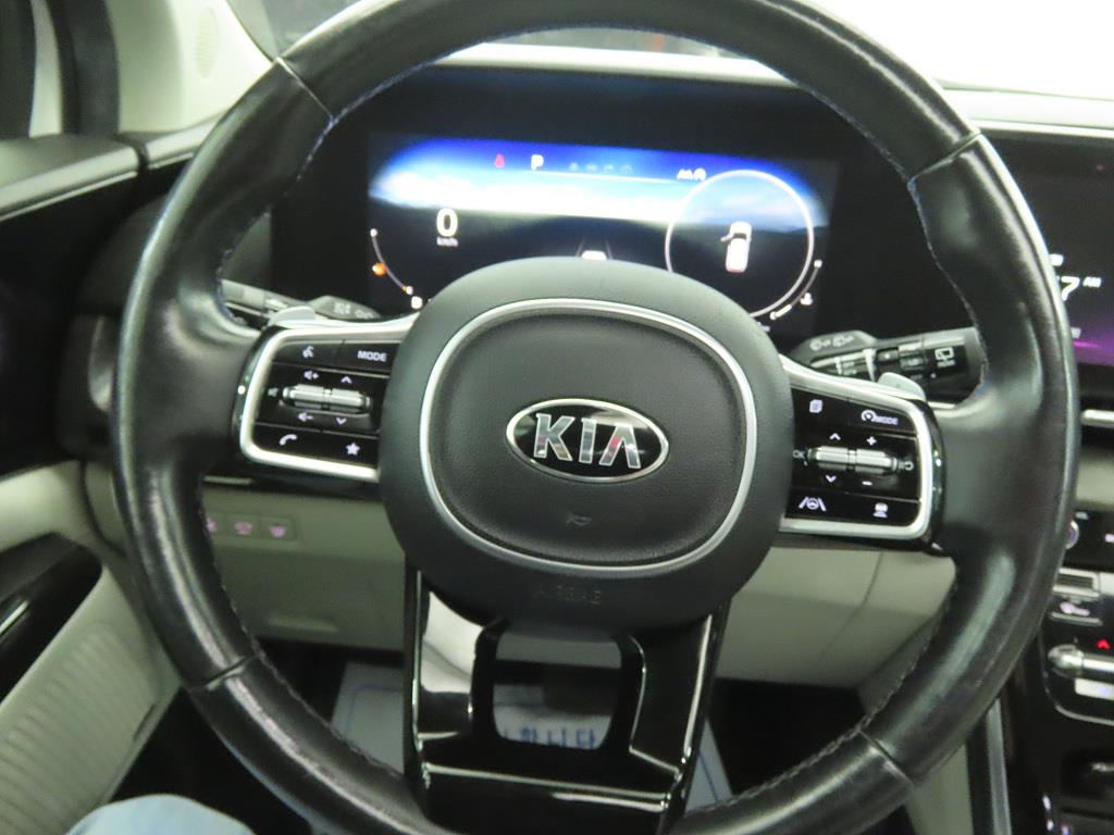 KIA Carnival - Vista 8