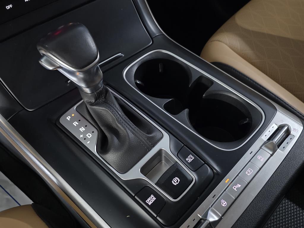 KIA Carnival - Vista 10