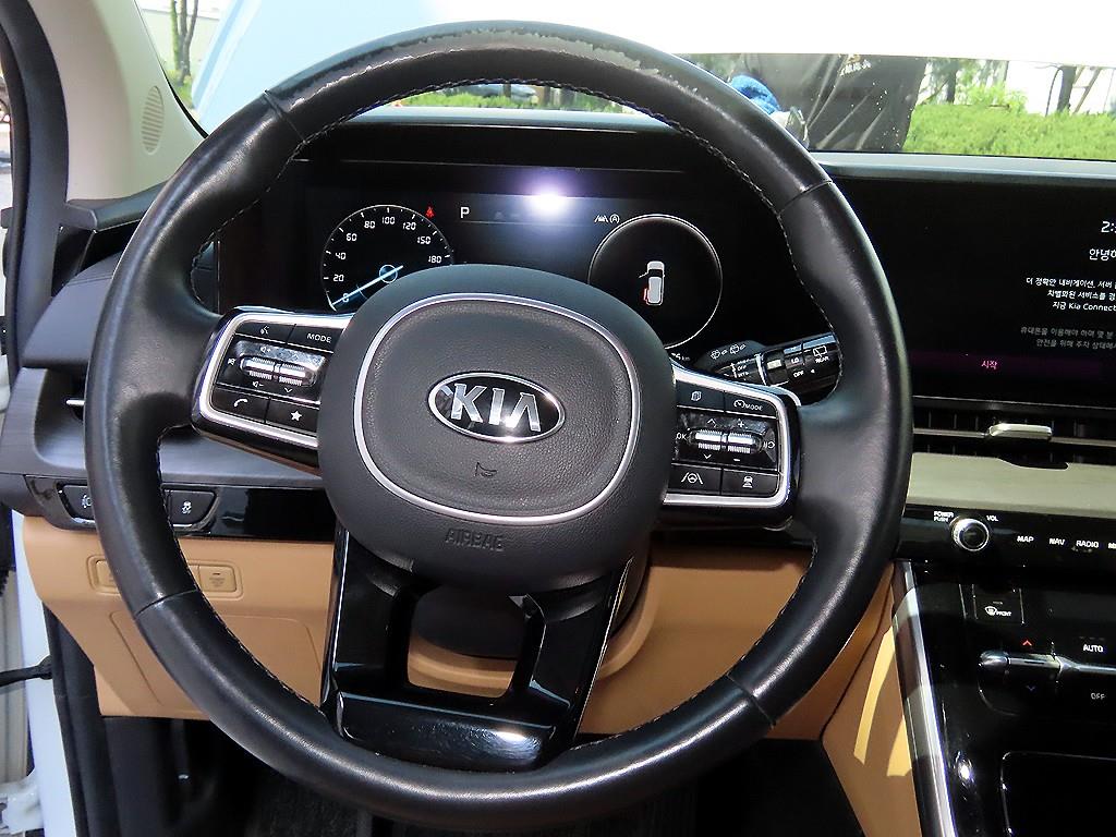 KIA Carnival - Vista 8
