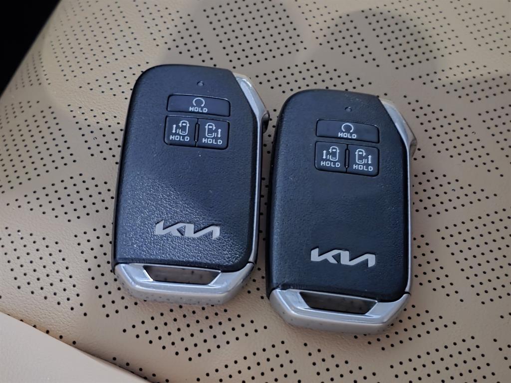 KIA Carnival - Vista 11