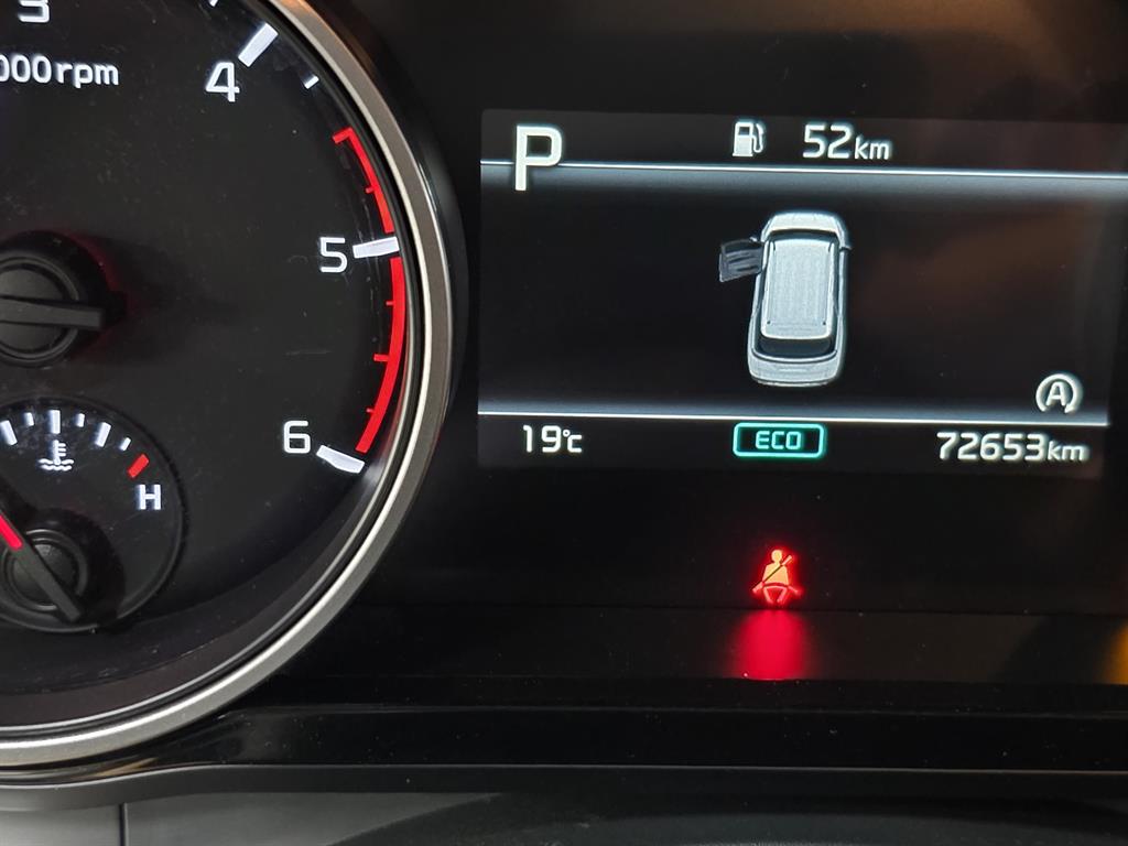 KIA Carnival - Vista 7