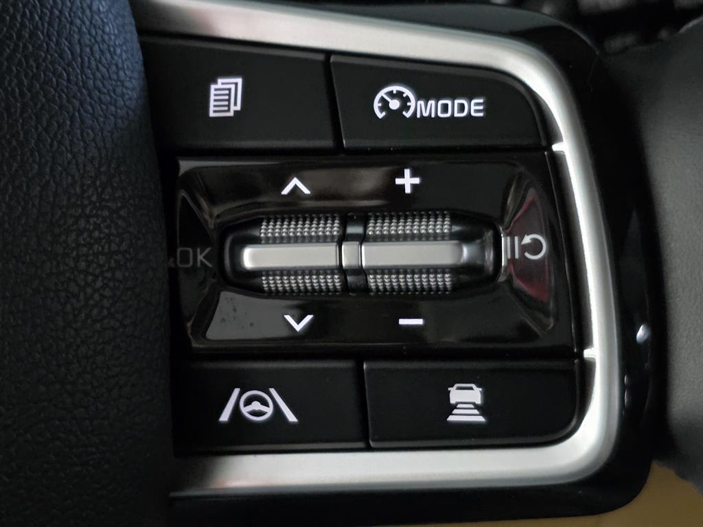 KIA Carnival - Vista 12