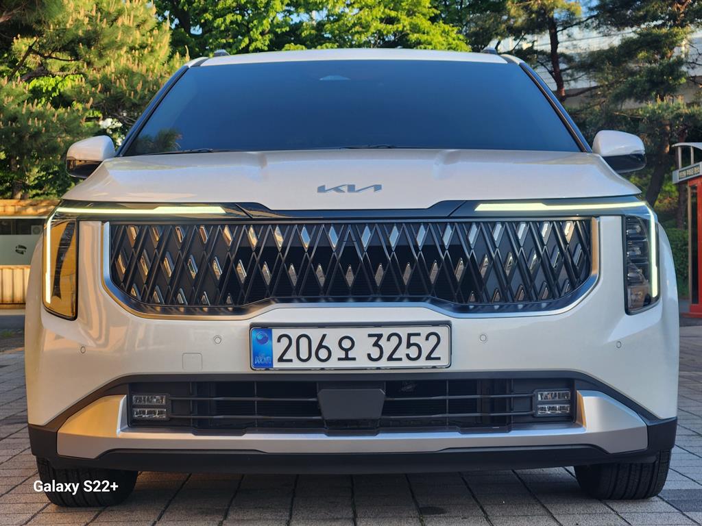 KIA Carnival - Vista 3