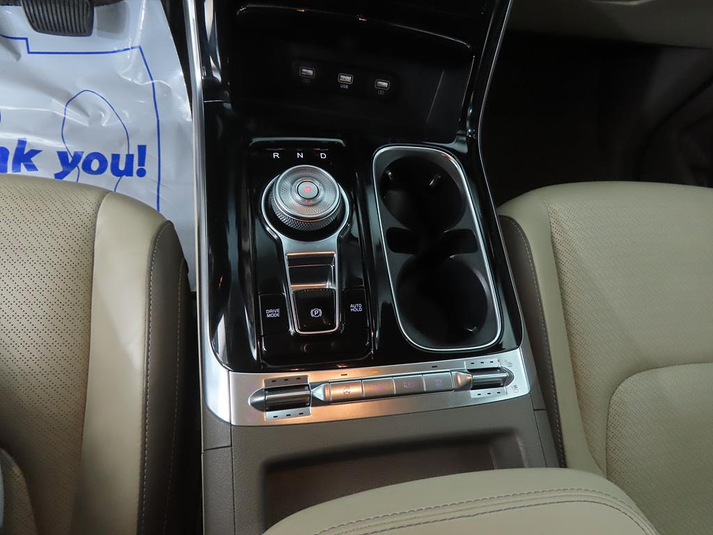 KIA Carnival - Vista 11