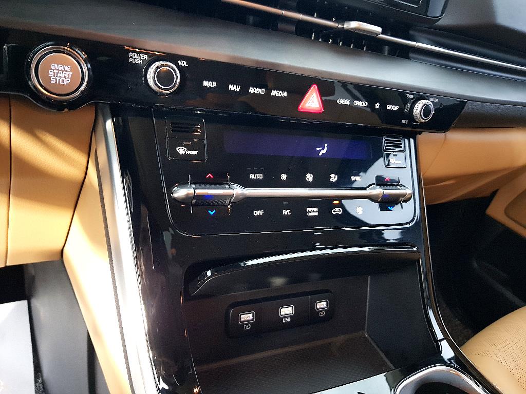 KIA Carnival - Vista 12