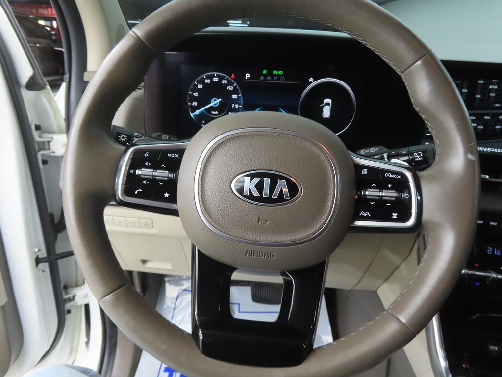 KIA Carnival - Vista 8