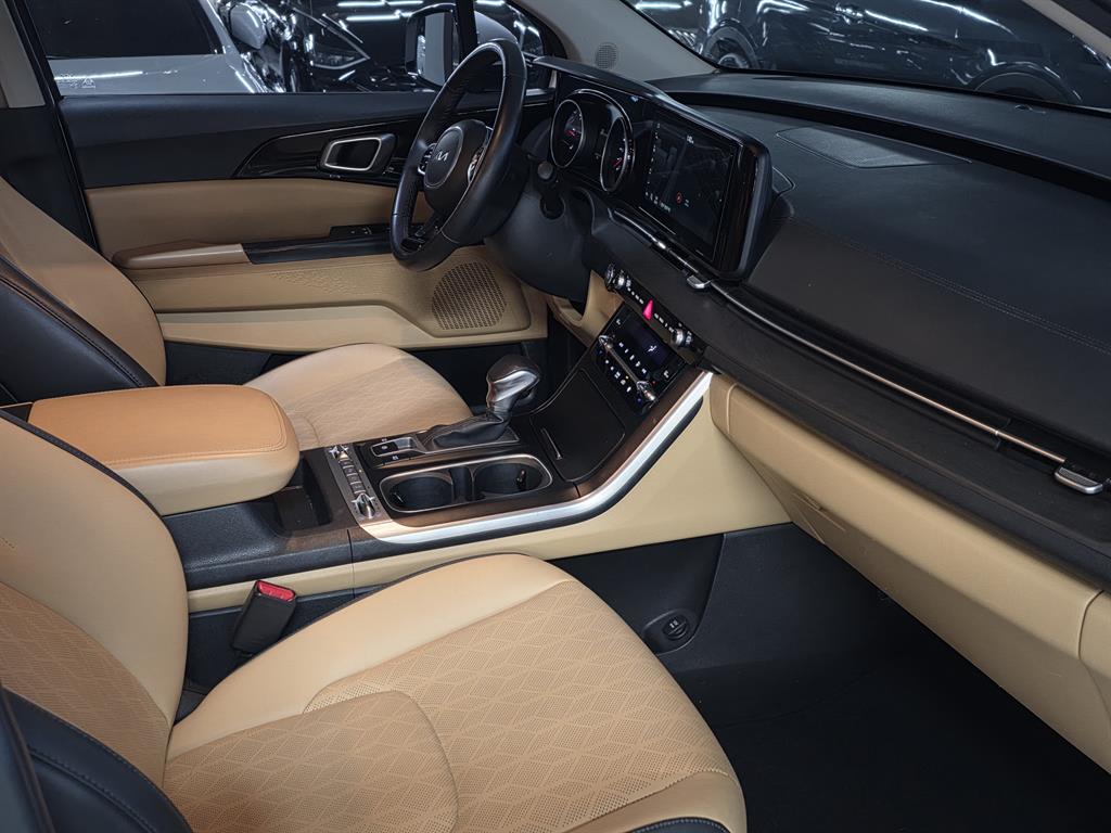 KIA Carnival - Vista 8