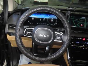 KIA Carnival - Vista 9