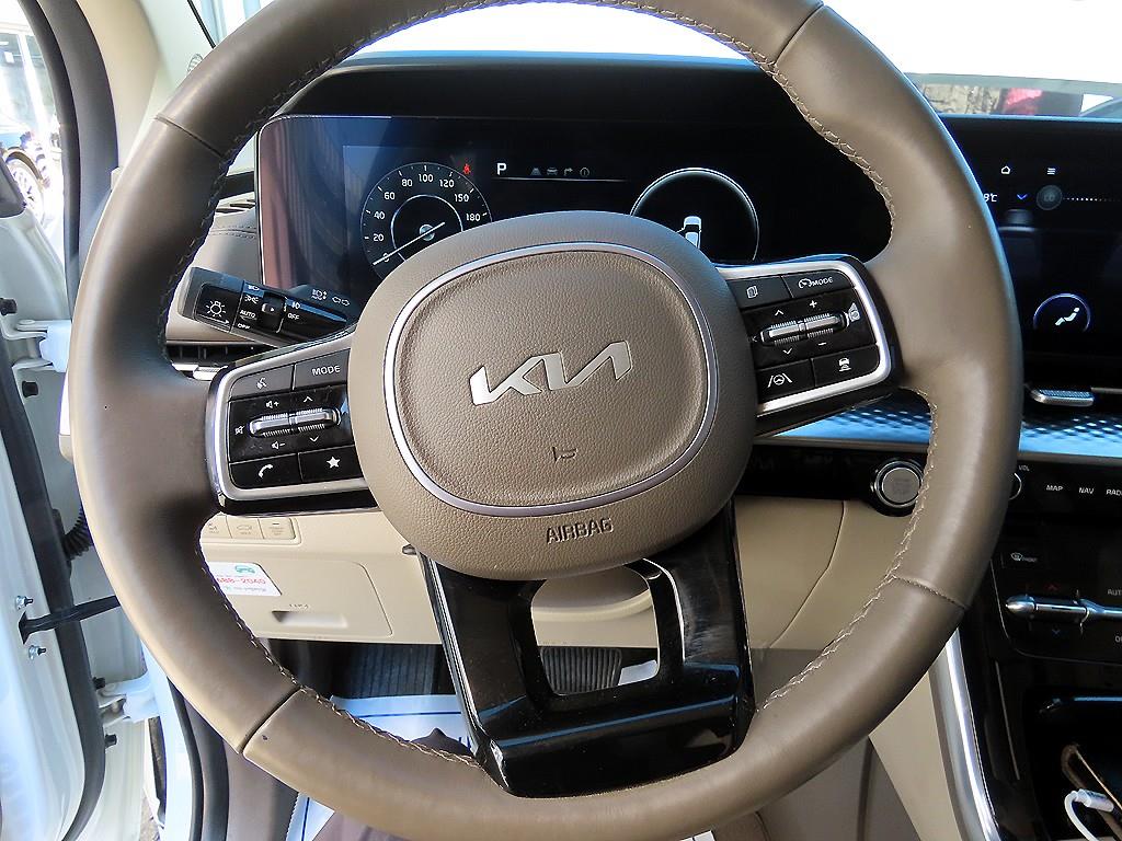 KIA Carnival - Vista 8