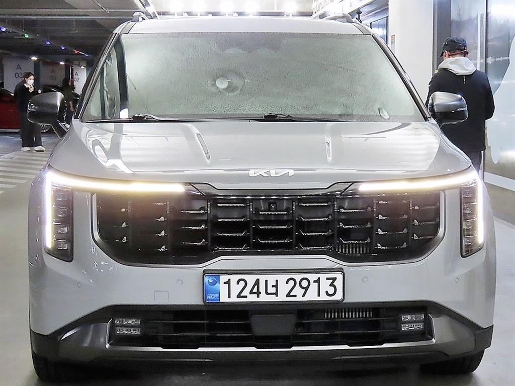 KIA Carnival - Vista 2