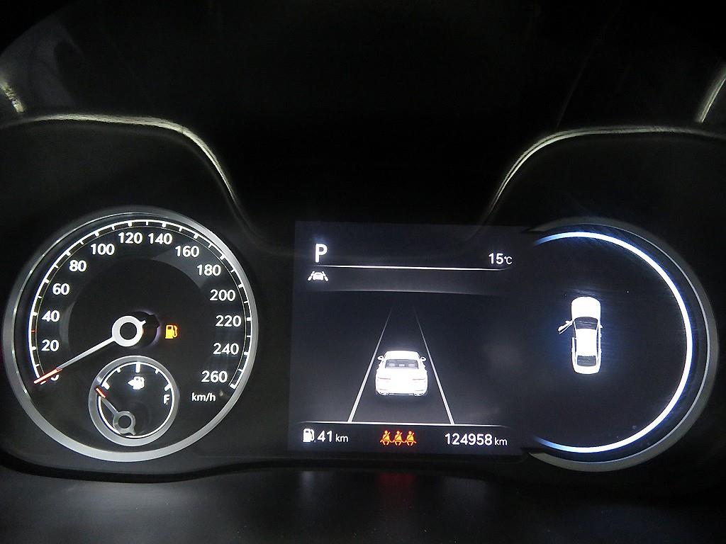 Genesis G80 - Vista 12