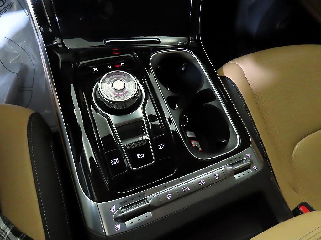KIA Carnival - Vista 12
