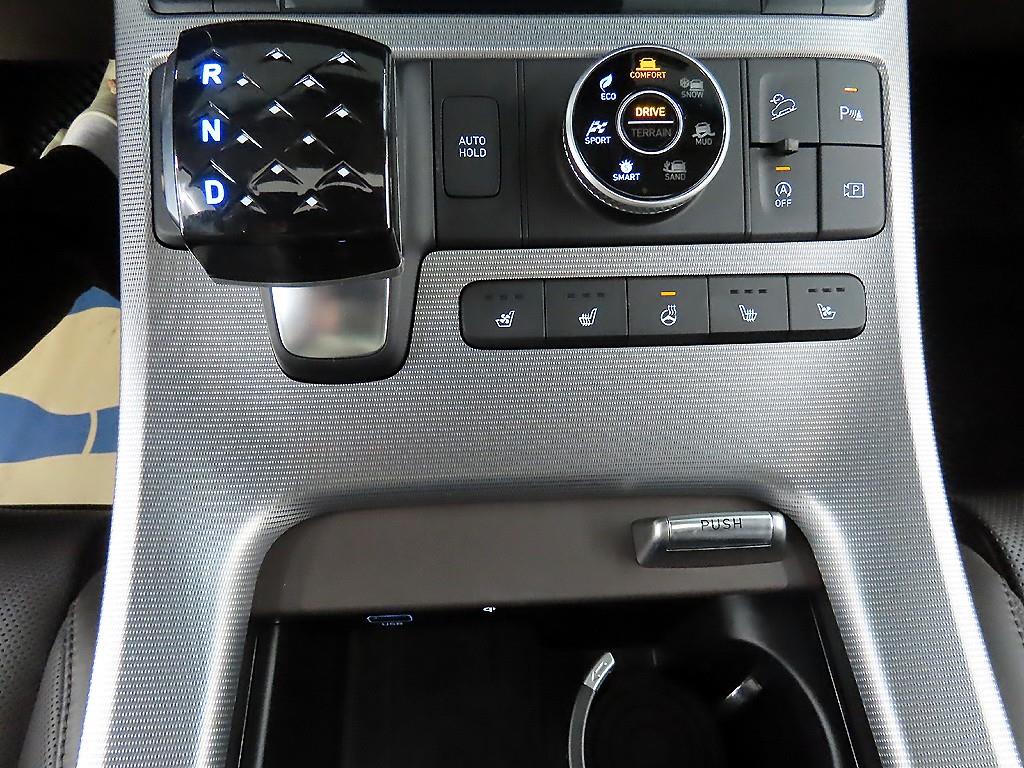 HYUNDAI Palisade - Vista 10