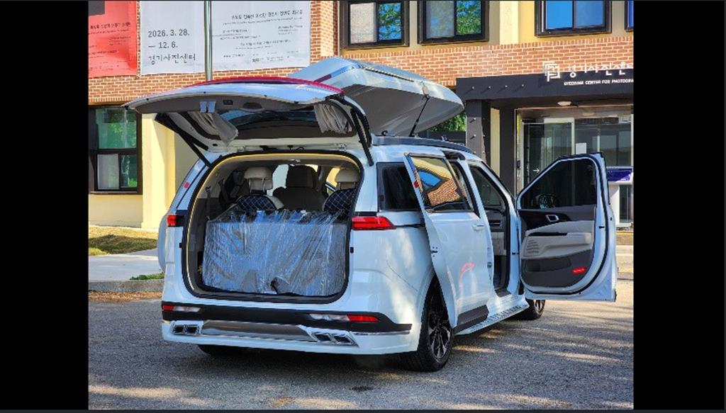 KIA Carnival - Vista 9