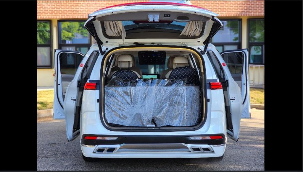 KIA Carnival - Vista 8