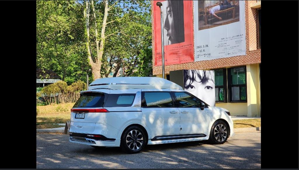 KIA Carnival - Vista 6