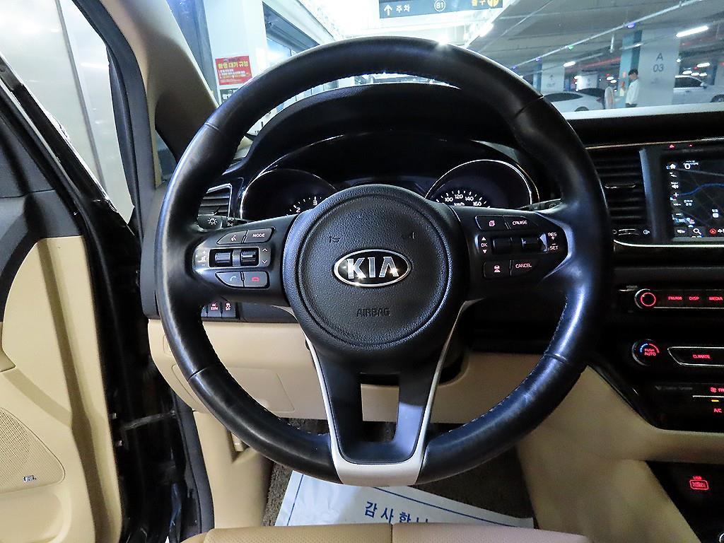 KIA Carnival - Vista 8