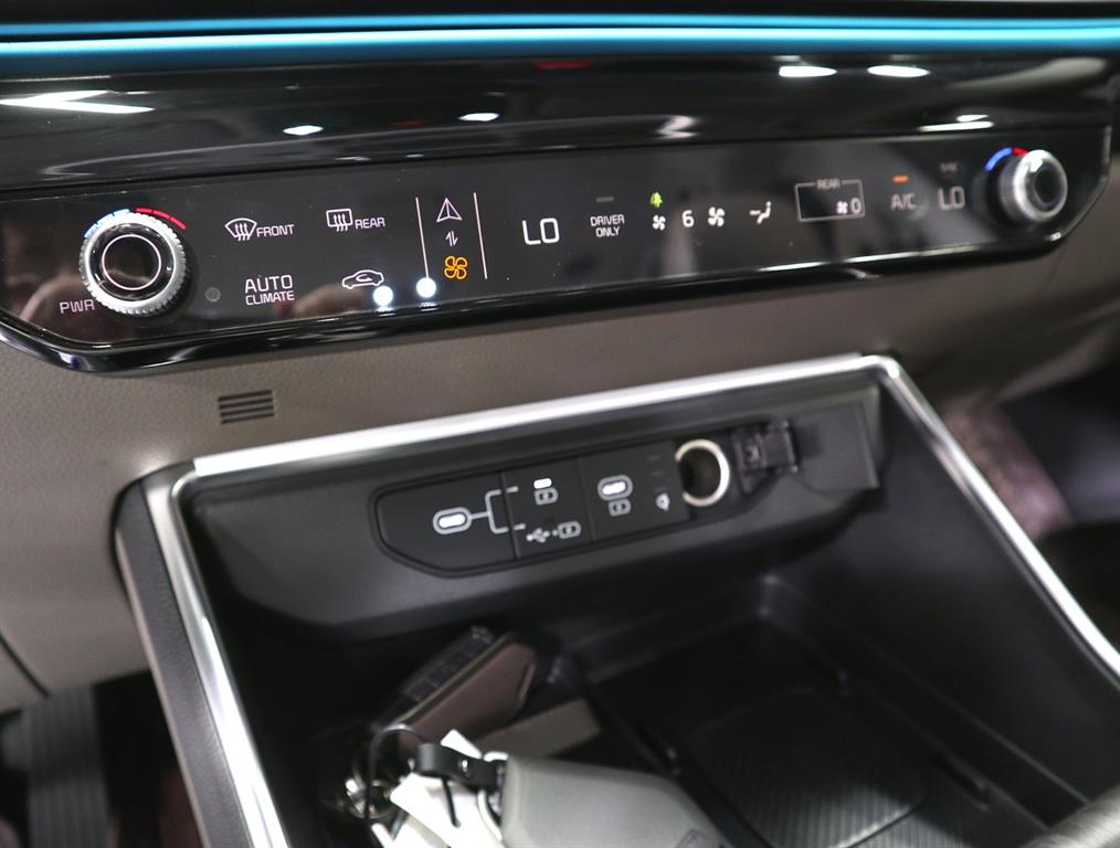 KIA Carnival - Vista 12