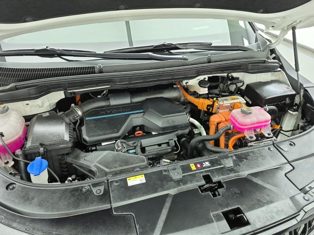 KIA Carnival - Vista 6