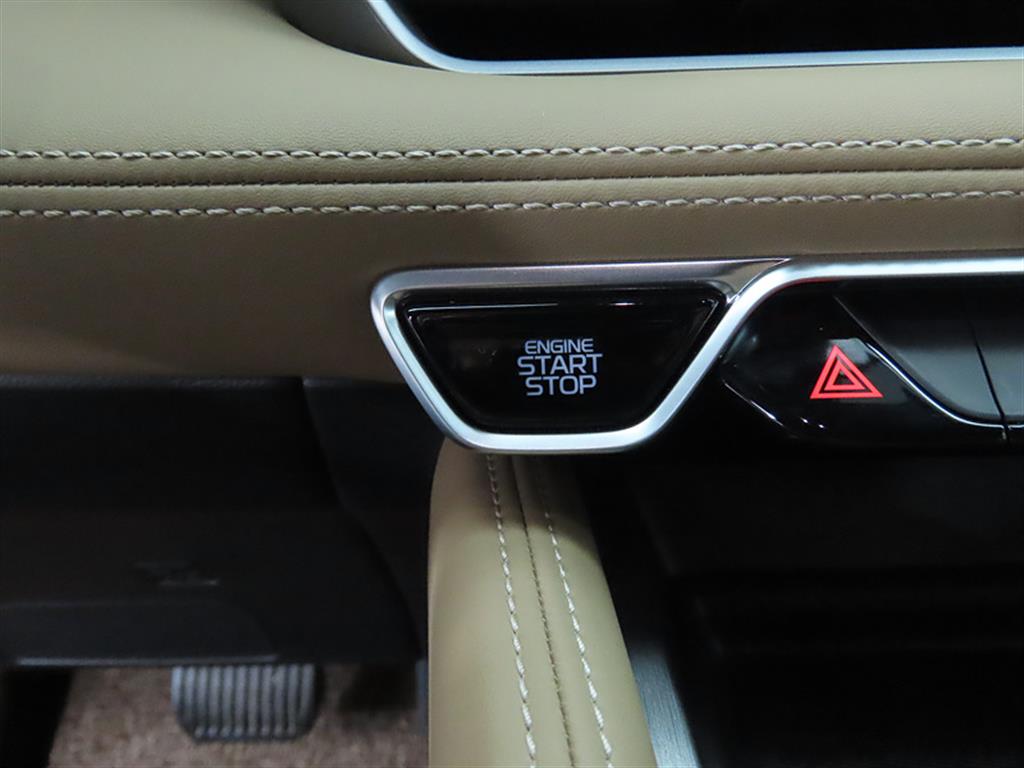 SAMSUNG Grand Koleos - Vista 12