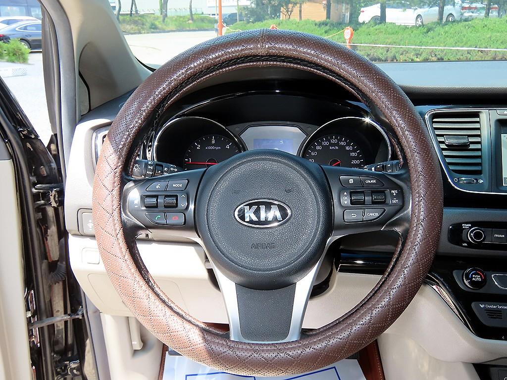 KIA Carnival - Vista 8