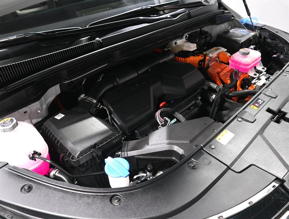 KIA Carnival - Vista 6