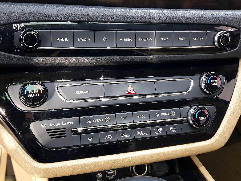 KIA Carnival - Vista 11