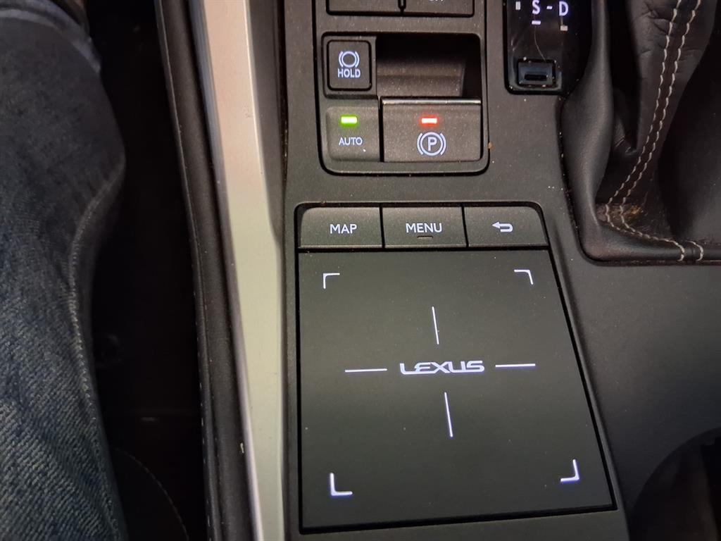 Lexus NX - Vista 11