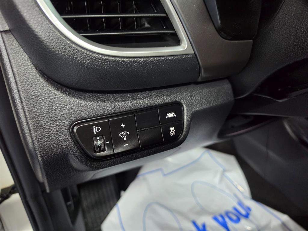 KIA Seltos - Vista 10