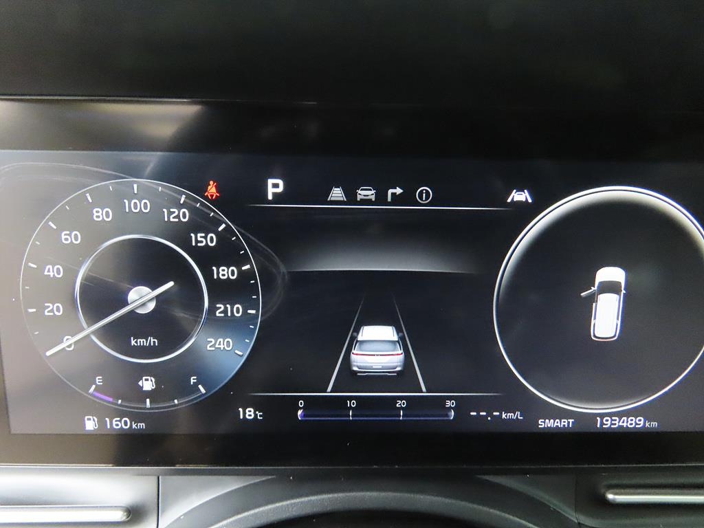 KIA Carnival - Vista 8