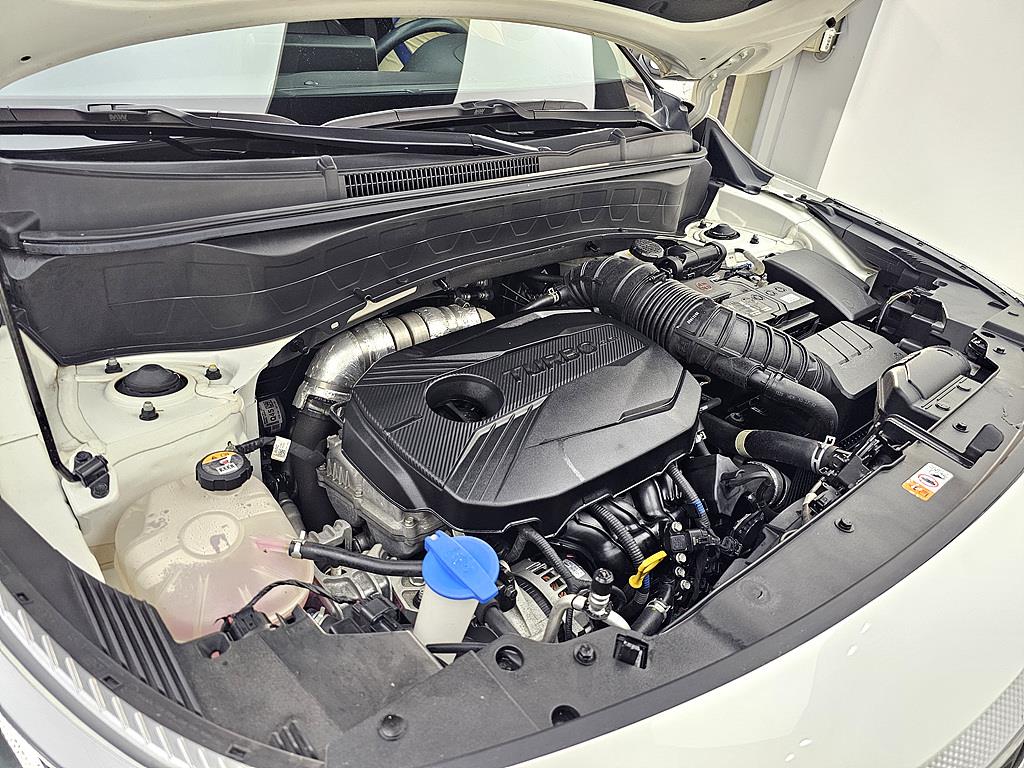 KIA Seltos - Vista 5