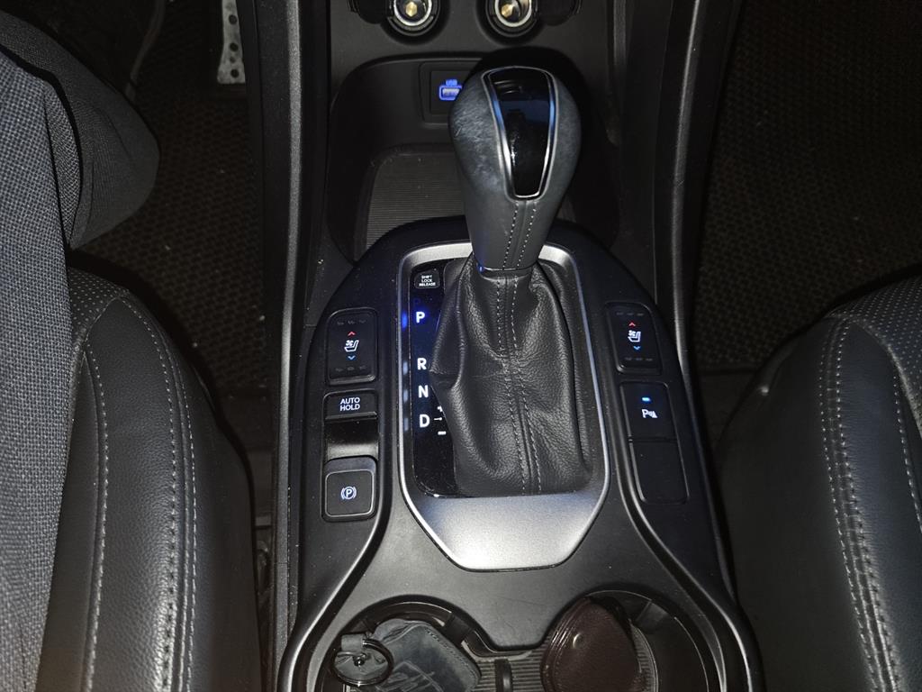 HYUNDAI Maxcruz - Vista 10