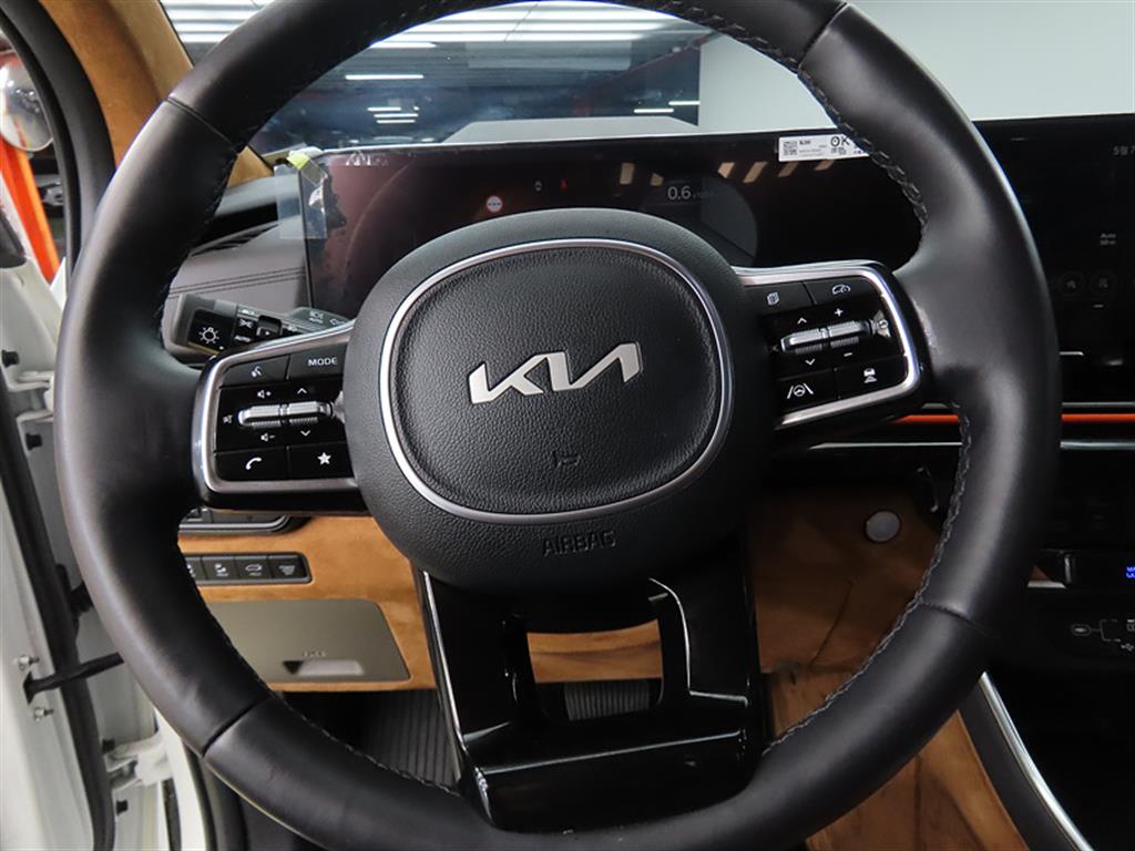 KIA Carnival - Vista 10