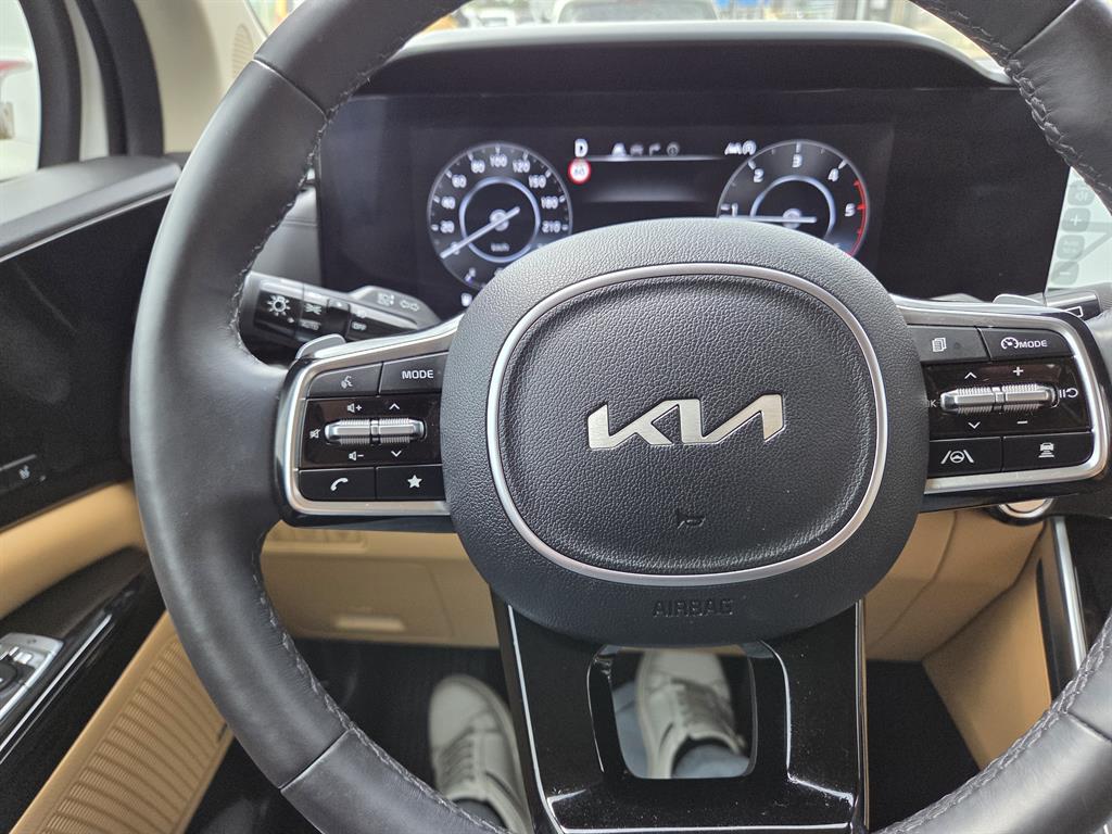 KIA Carnival - Vista 10