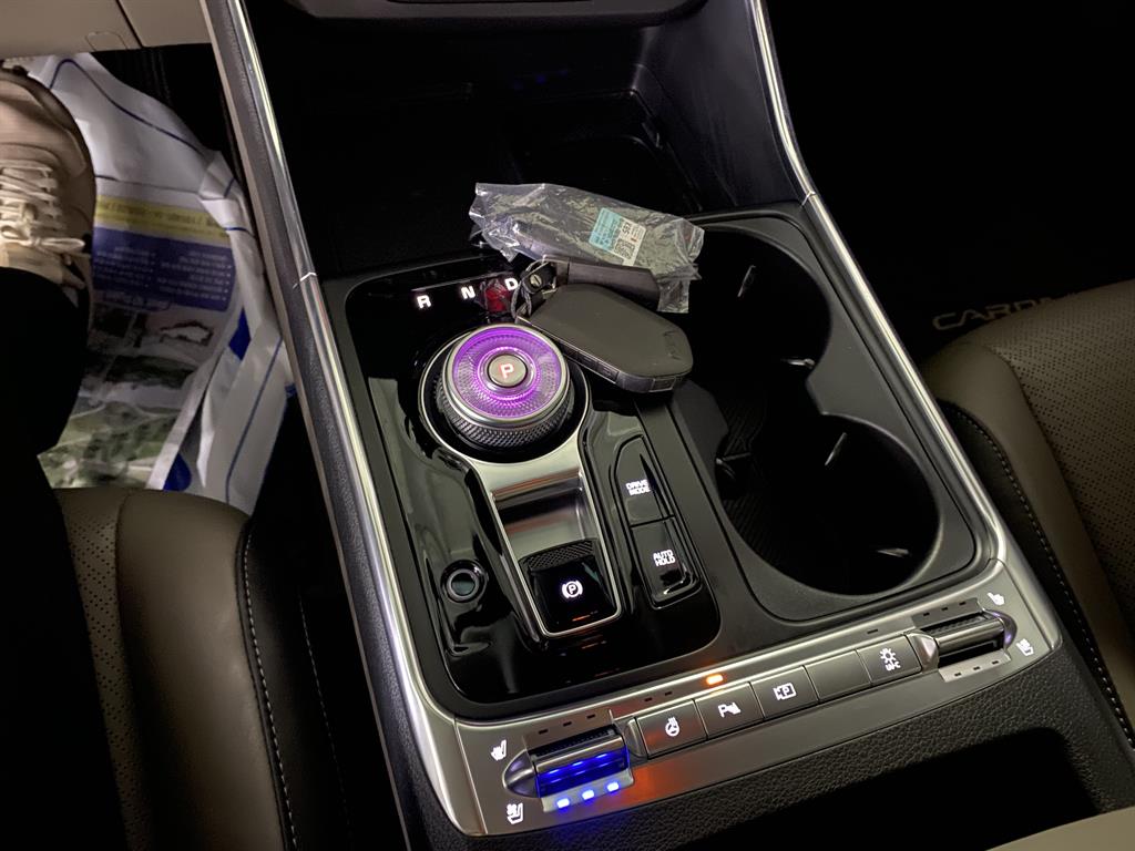 KIA Carnival - Vista 11
