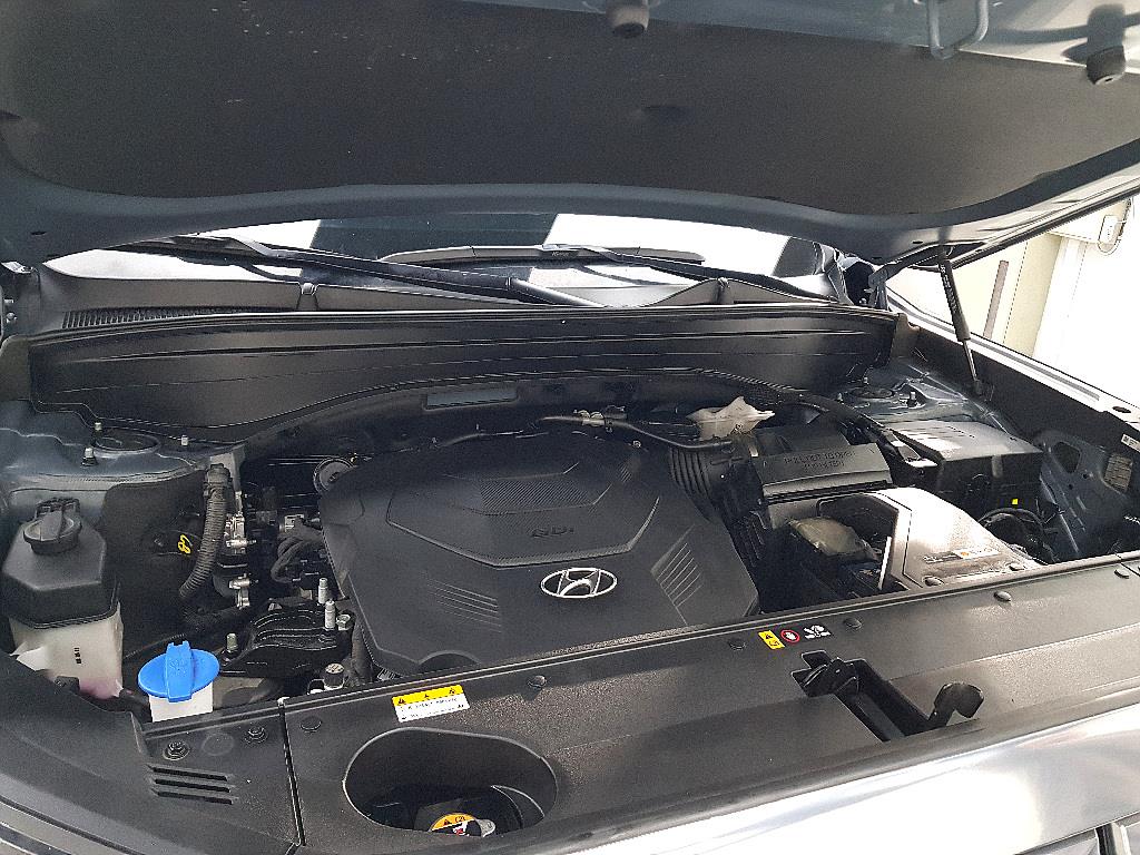 HYUNDAI Palisade - Vista 6