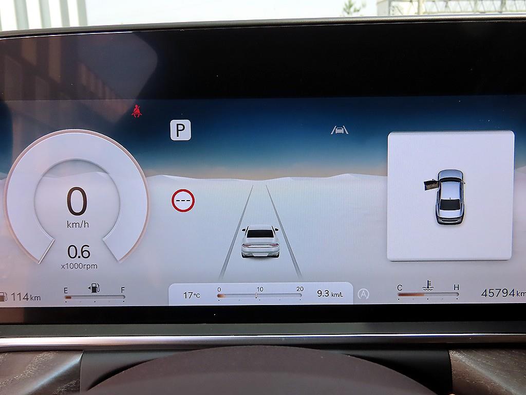 Genesis G90 - Vista 9