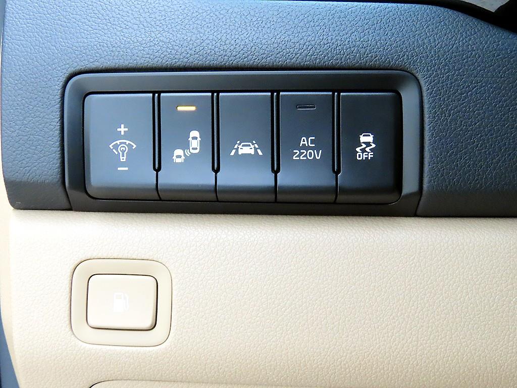 KIA Carnival - Vista 12