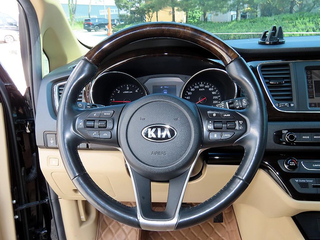 KIA Carnival - Vista 8