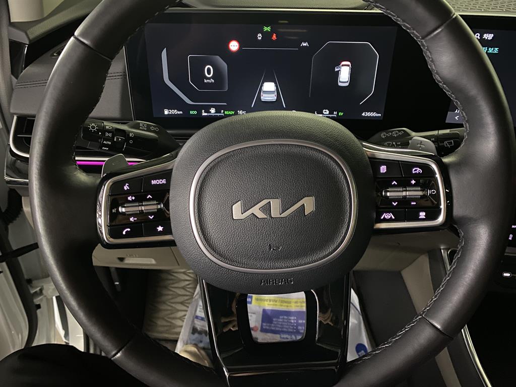 KIA Carnival - Vista 7