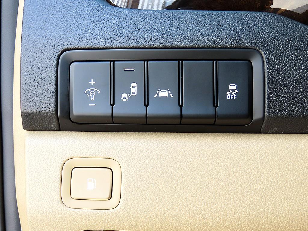 KIA Carnival - Vista 11