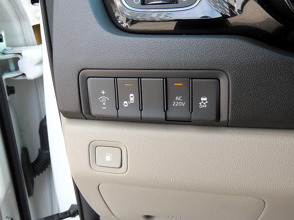 KIA Carnival - Vista 12